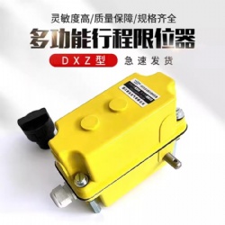 Crane DXZ Multi-function Load Limited Switch